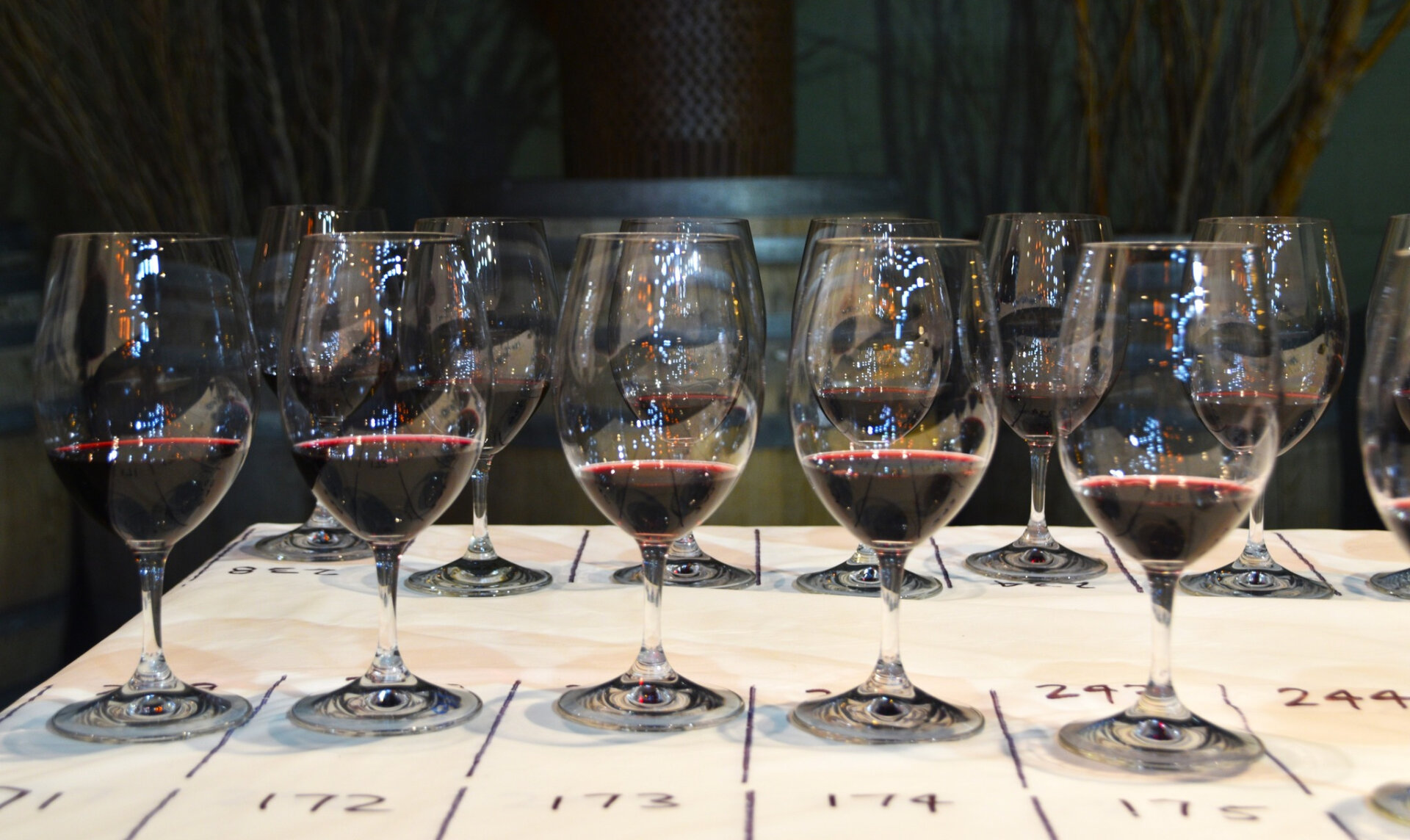 Two rows of wine glasses with dark red wine, along a table with markings numbering each class.