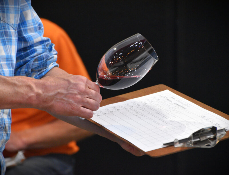 A faceless judge in a blue check shirt holds a glass of red wine on an angle in his right hand, examining the colour of the wine. In his left hand is a clipboard with a scoring sheet, half completed. Behind the judge, another person can be seen wearing a bright orange shirt.